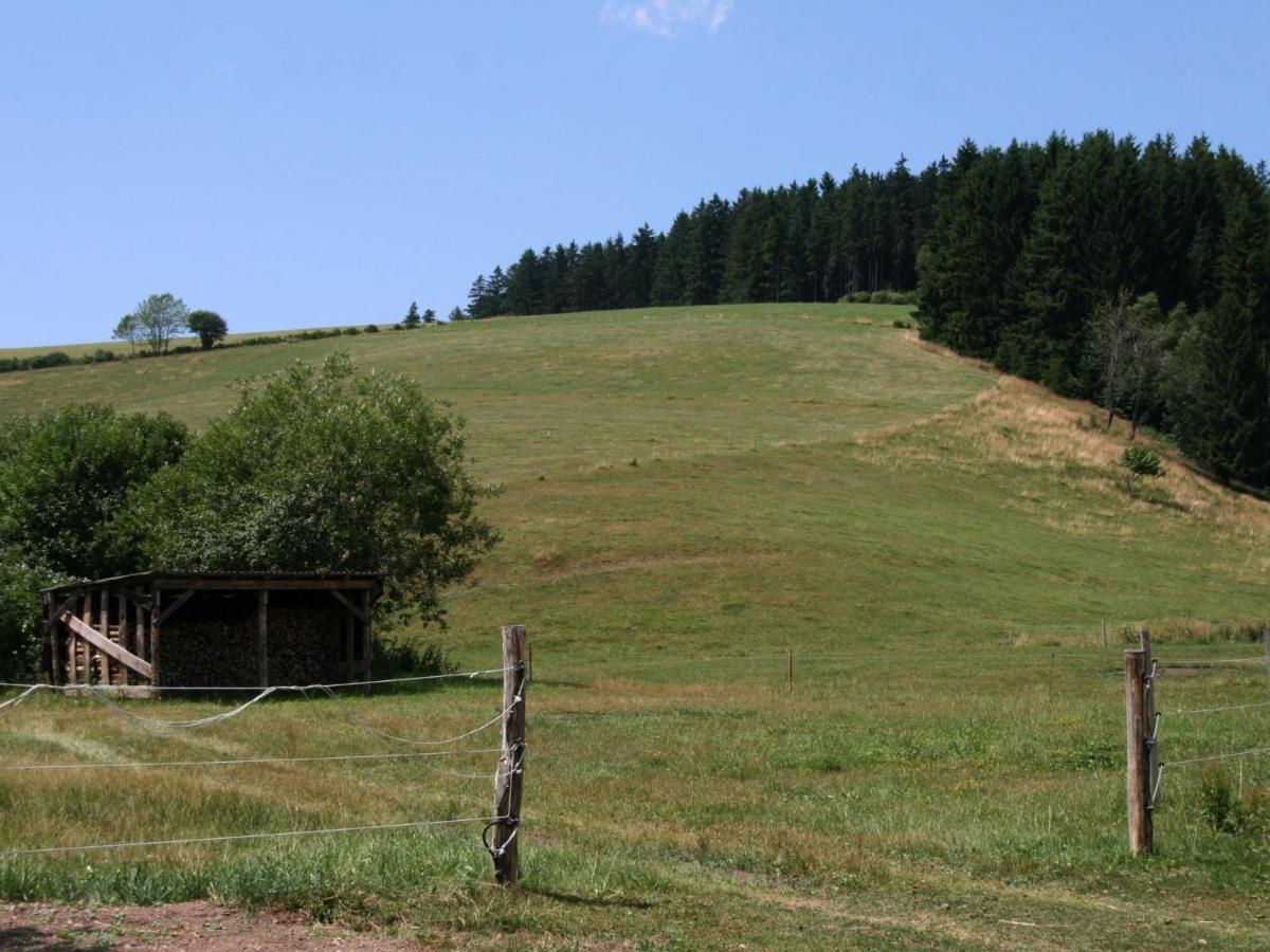 Converted Old Mill In St Georgen Inblack Forest Sankt Georgen im Schwarzwald Extérieur photo